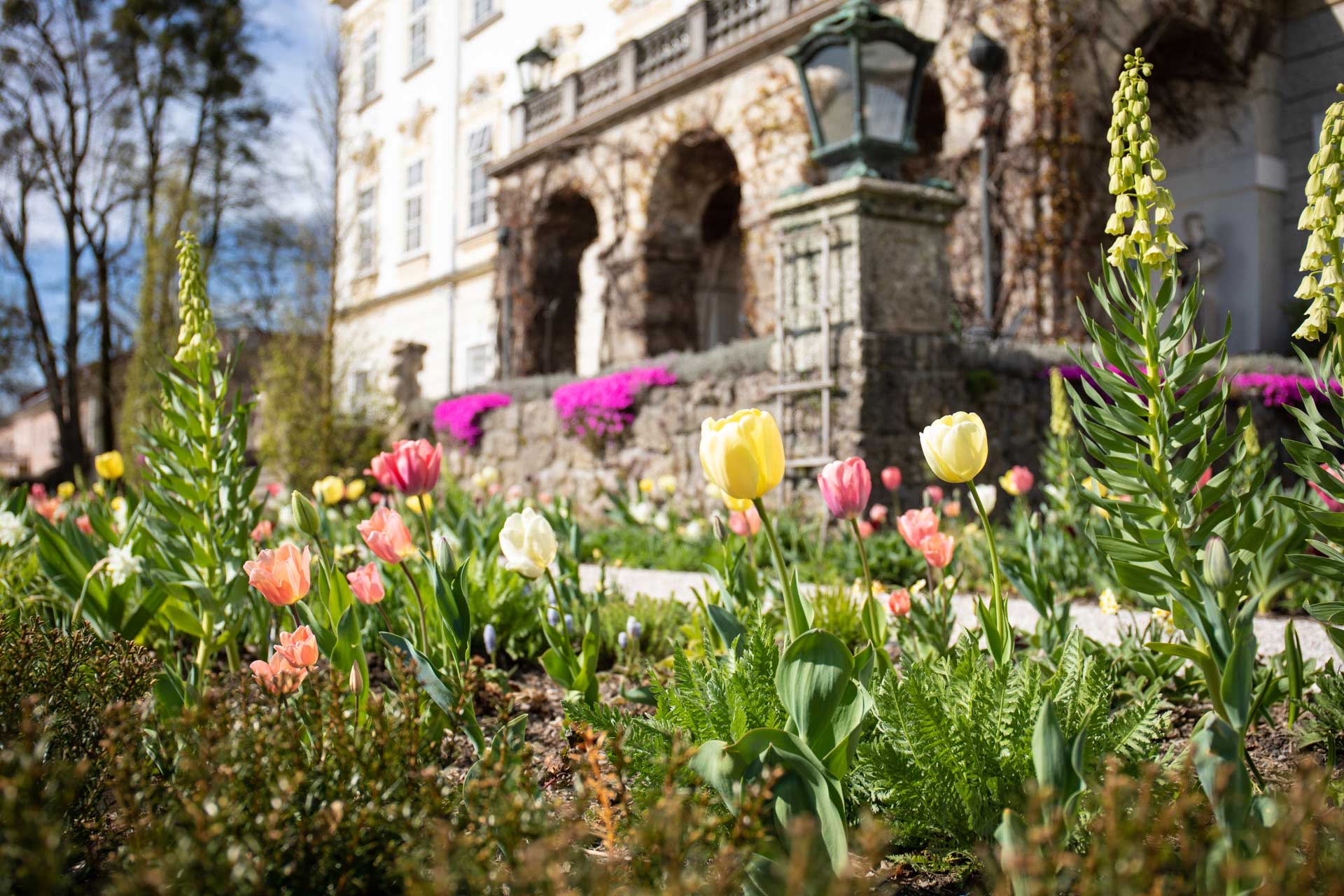 Schloss Leopoldskron mit Blumen im Vordergrund