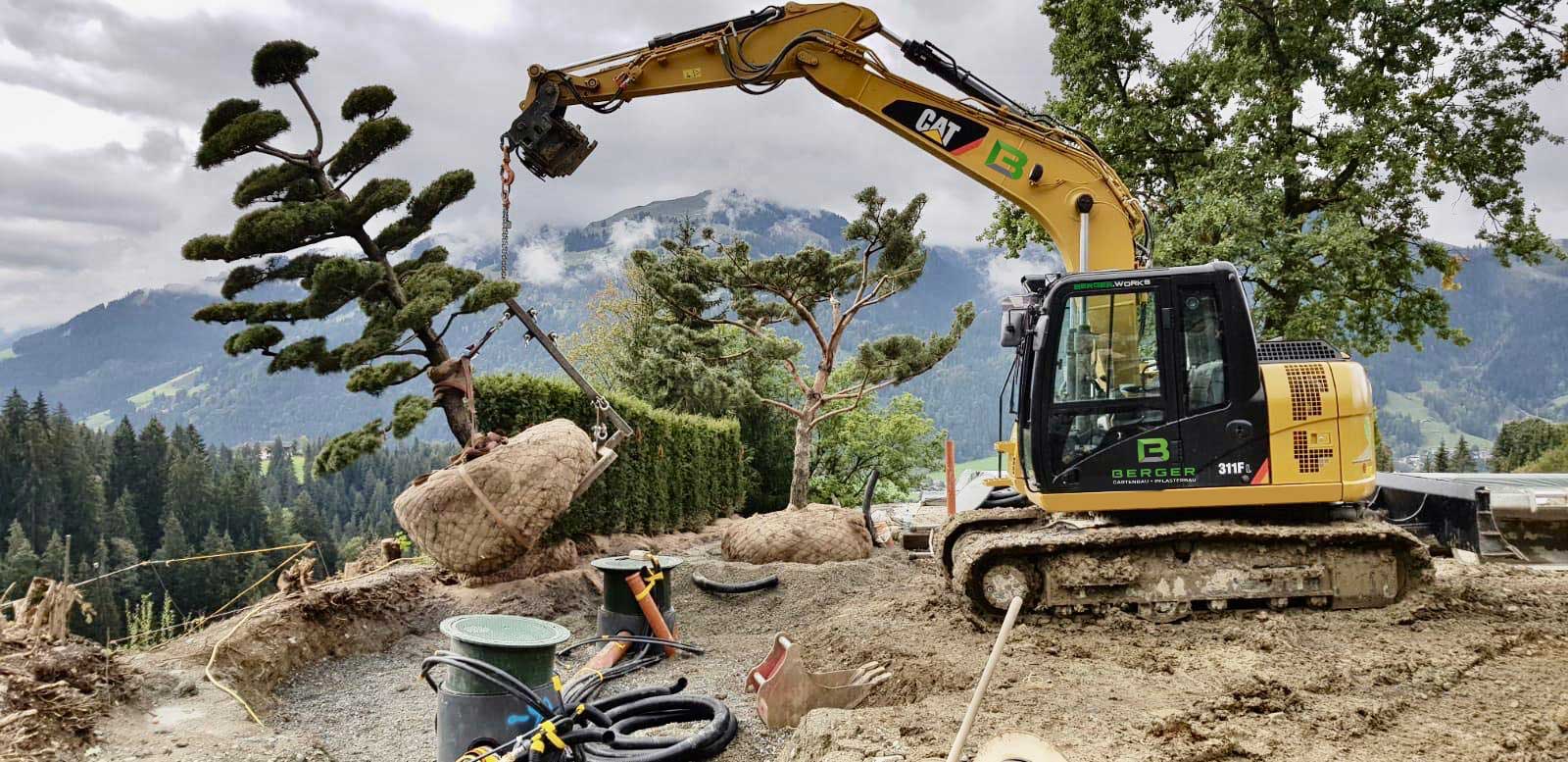 Ein Bagger hebt einen großen Baum