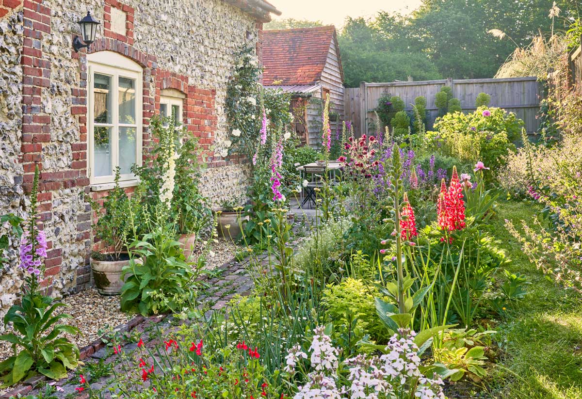 Gewürzgarten mit bunten Blumen