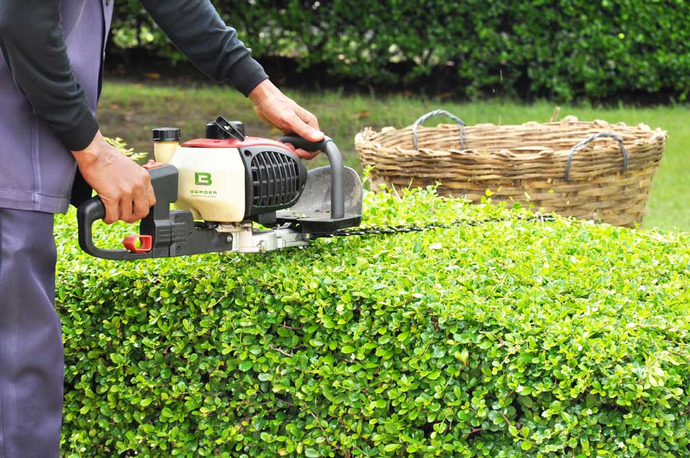 Berger Gartenpflege Hecken schneiden