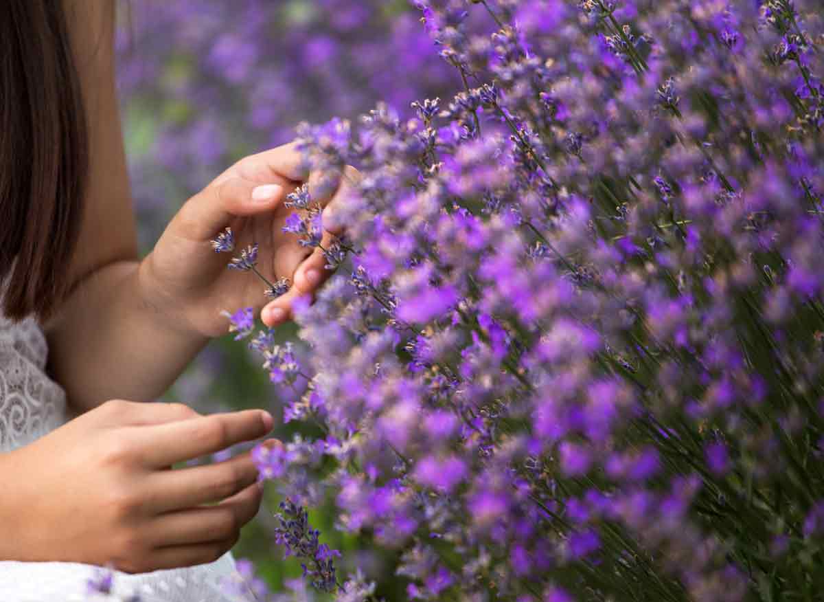 Frau mit Lavendel