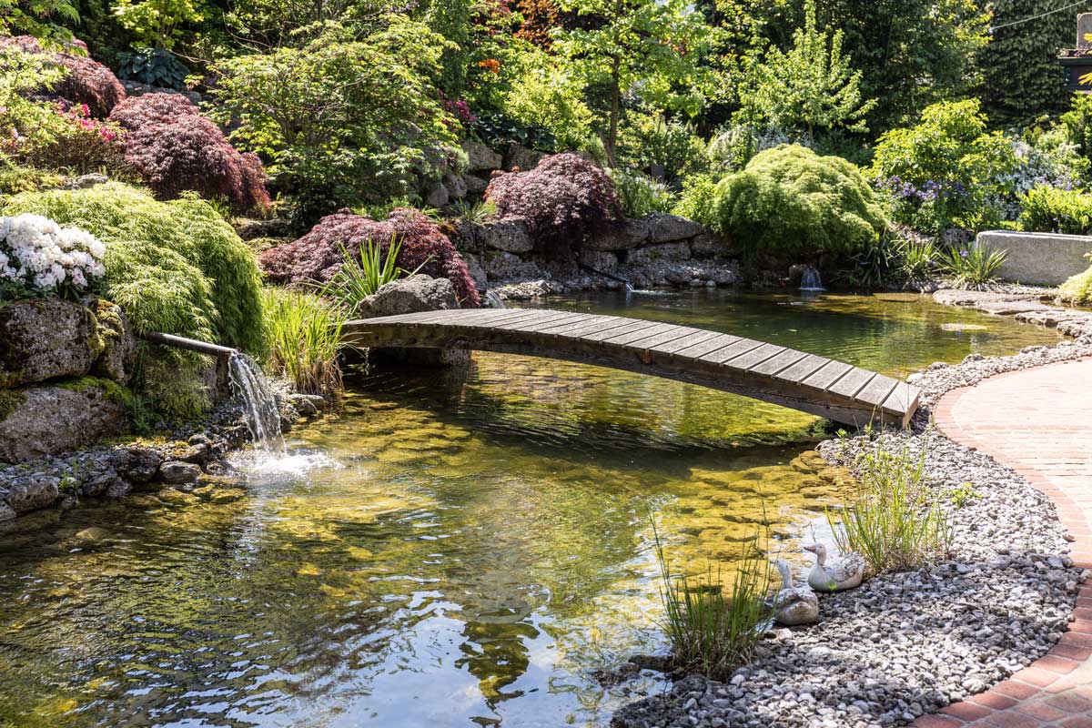 Brücke über Teich