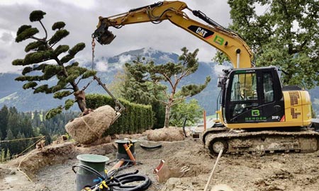 Bagger von Berger hebt großen Baum